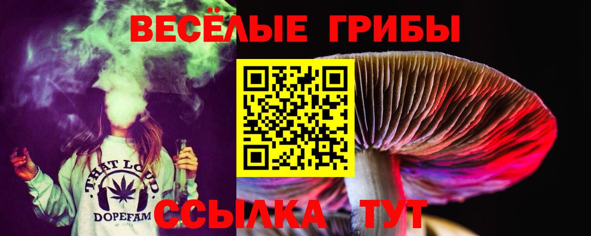 Ульяновск  Псилоцибиновые грибы Magic Shrooms  Вход с VPN  Псилоцибиновые грибы GOLDEN TEACHER 